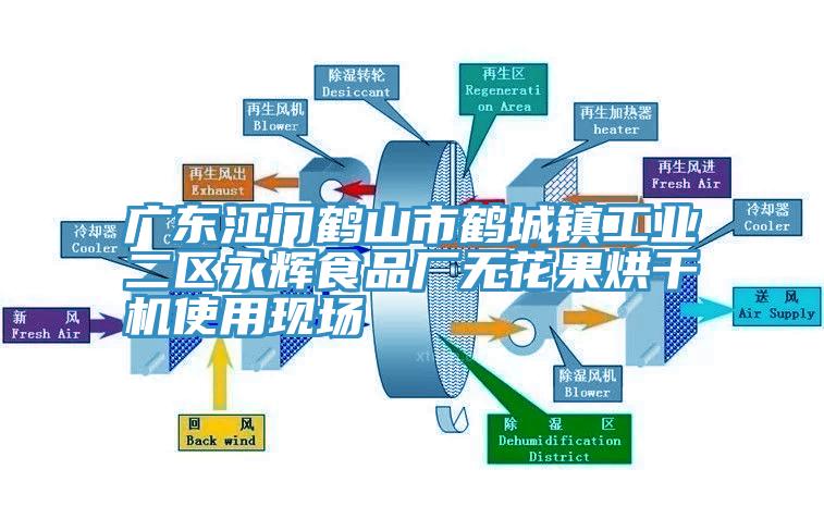 广东江门鹤山市鹤城镇工业二区永辉食品厂无花果烘干机使用现场