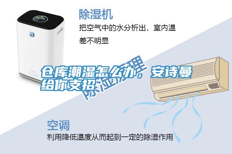 仓库潮湿怎么办，安诗曼给你支招