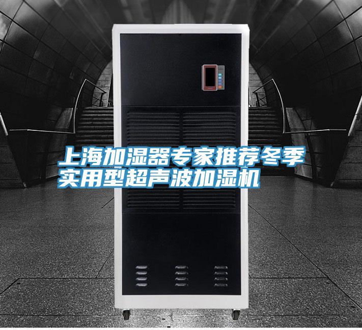 上海加湿器专家推荐冬季实用型超声波加湿机