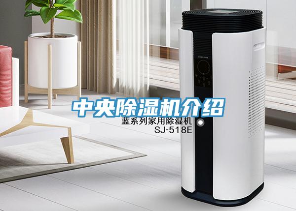 中央除湿机介绍
