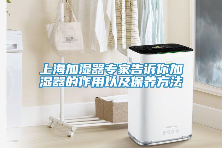 上海加湿器专家告诉你加湿器的作用以及保养方法