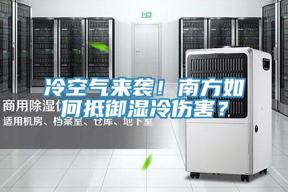 冷空气来袭！南方如何抵御湿冷伤害？