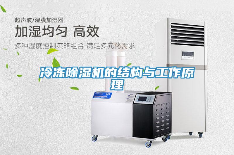 冷冻除湿机的结构与工作原理