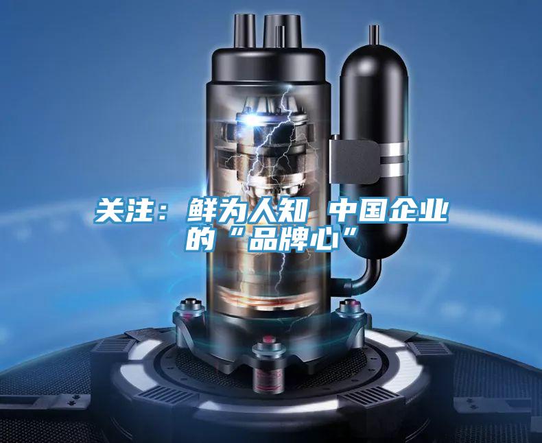 关注：鲜为人知 中国企业的“品牌心”