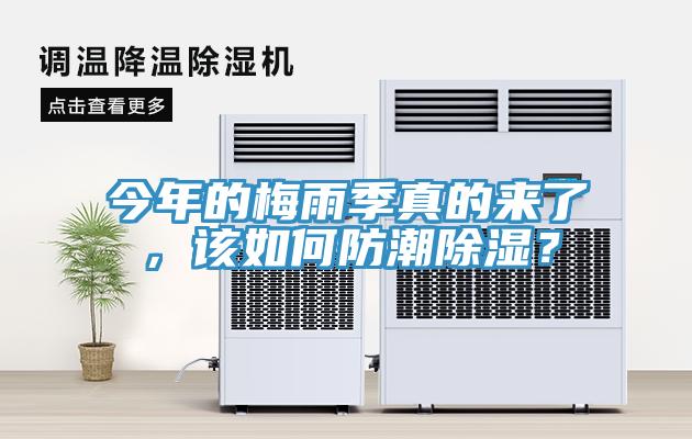 今年的梅雨季真的来了，该如何防潮除湿？
