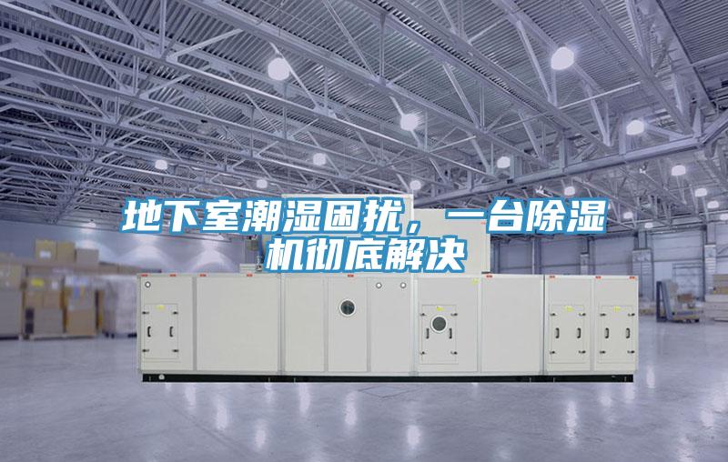 地下室潮湿困扰，一台除湿机彻底解决