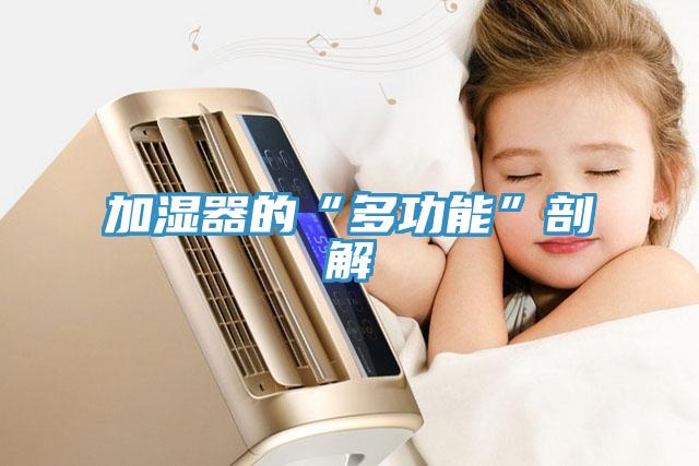 加湿器的“多功能”剖解