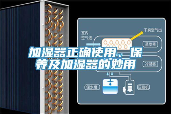 加湿器正确使用、保养及加湿器的妙用