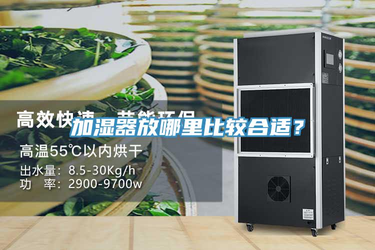 加湿器放哪里比较合适？