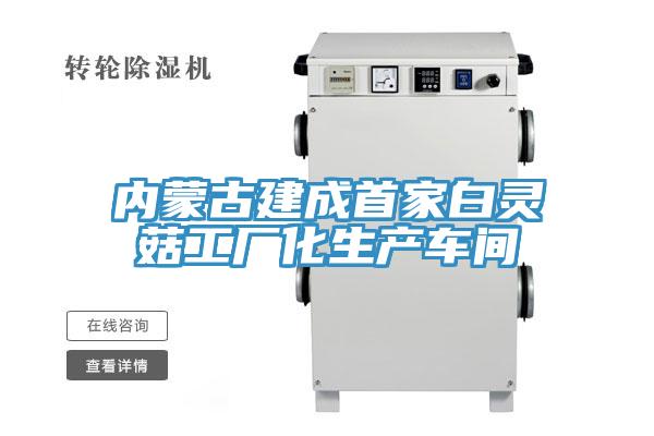内蒙古建成首家白灵菇工厂化生产车间