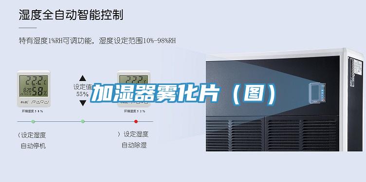 加湿器雾化片（图）