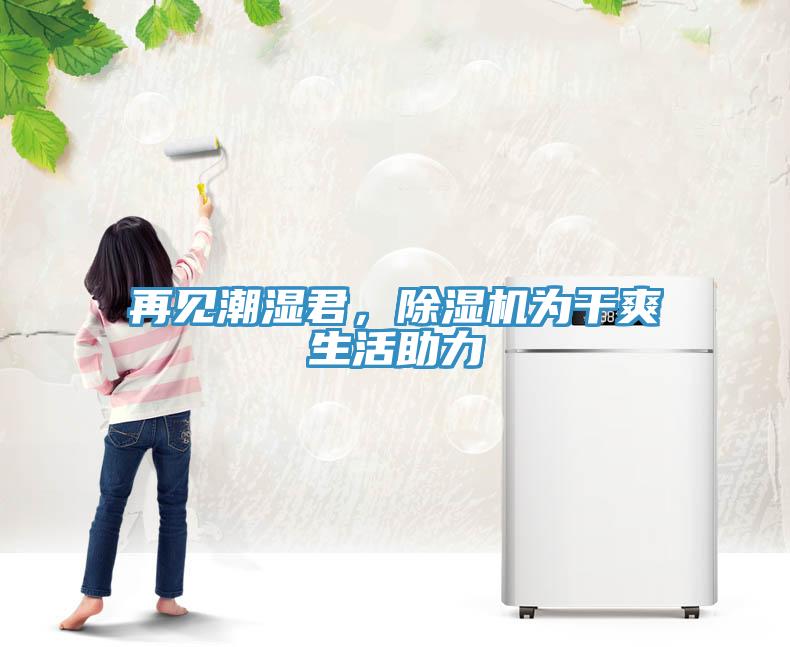 再见潮湿君，除湿机为干爽生活助力