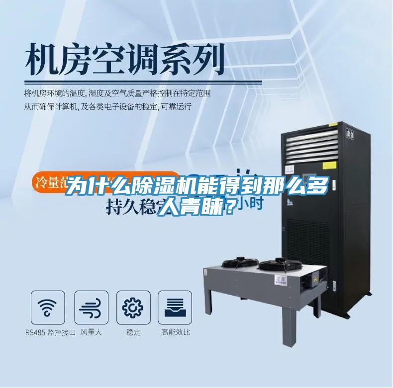 为什么除湿机能得到那么多人青睐？