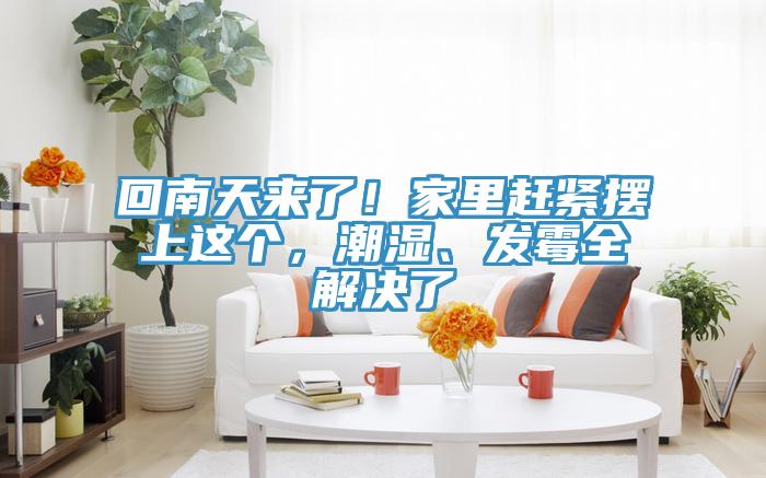 回南天来了！家里赶紧摆上这个，潮湿、发霉全解决了