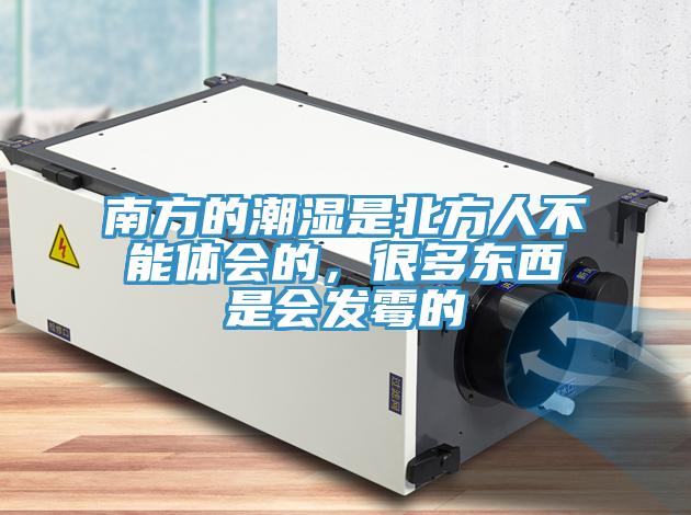 南方的潮湿是北方人不能体会的，很多东西是会发霉的