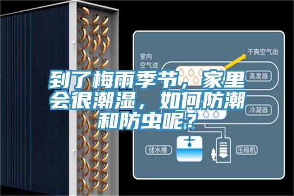 到了梅雨季节，家里会很潮湿，如何防潮和防虫呢？