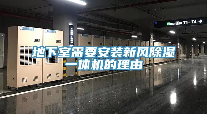 地下室需要安装新风除湿一体机的理由