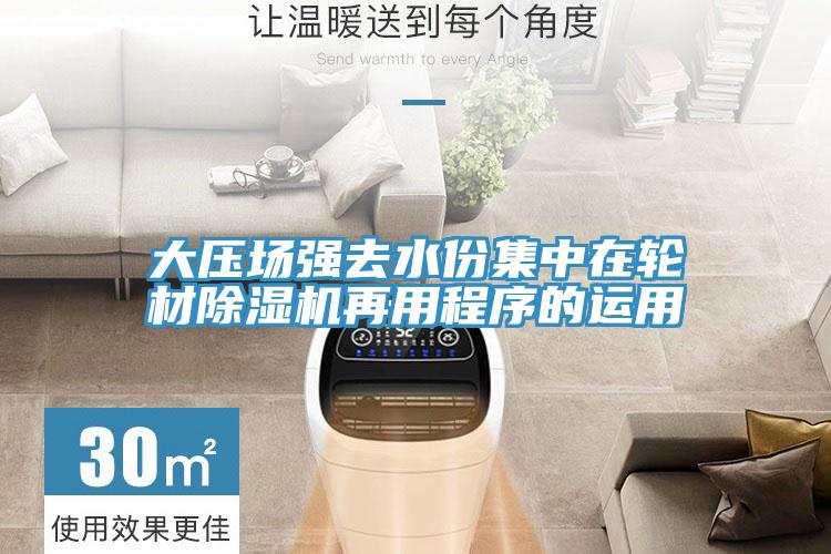 大压场强去水份集中在轮材除湿机再用程序的运用