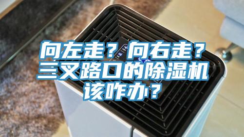 向左走？向右走？三叉路口的除湿机该咋办？
