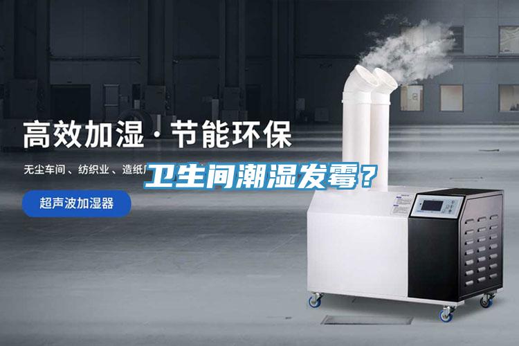 卫生间潮湿发霉？