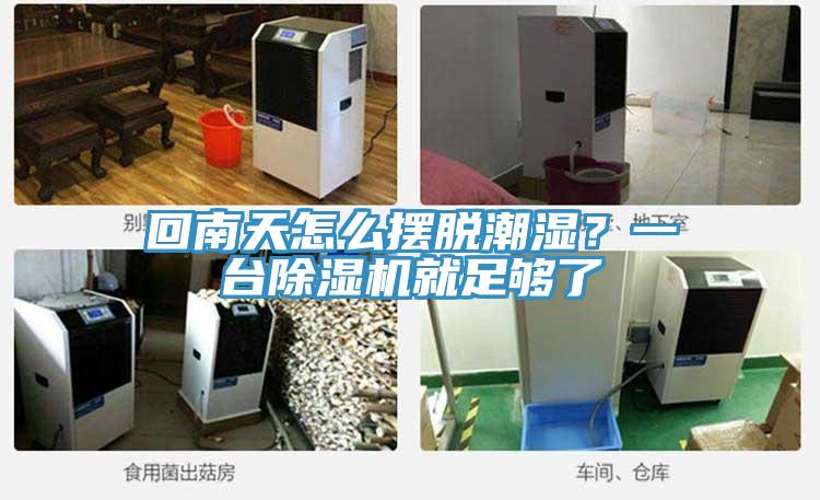 回南天怎么摆脱潮湿？一台除湿机就足够了