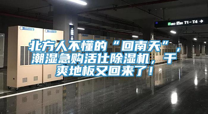 北方人不懂的“回南天”，潮湿急购活仕除湿机，干爽地板又回来了！