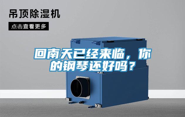 回南天已经来临，你的钢琴还好吗？