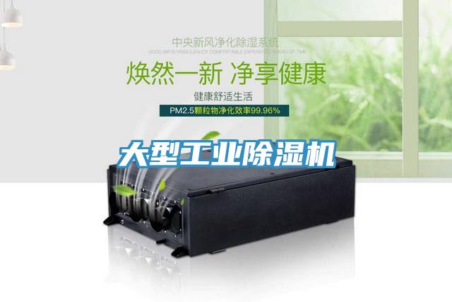 大型工业除湿机