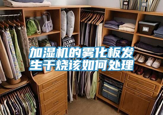 加湿机的雾化板发生干烧该如何处理