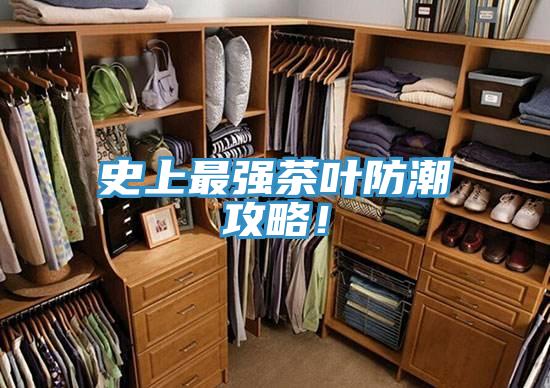 史上最强茶叶防潮攻略！