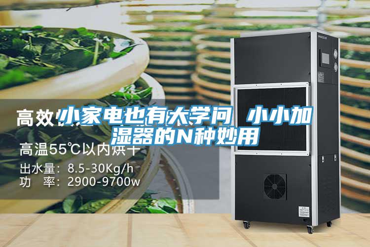 小家电也有大学问 小小加湿器的N种妙用