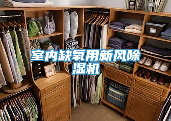 室内缺氧用新风除湿机