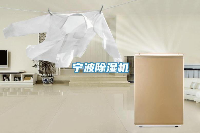 宁波除湿机