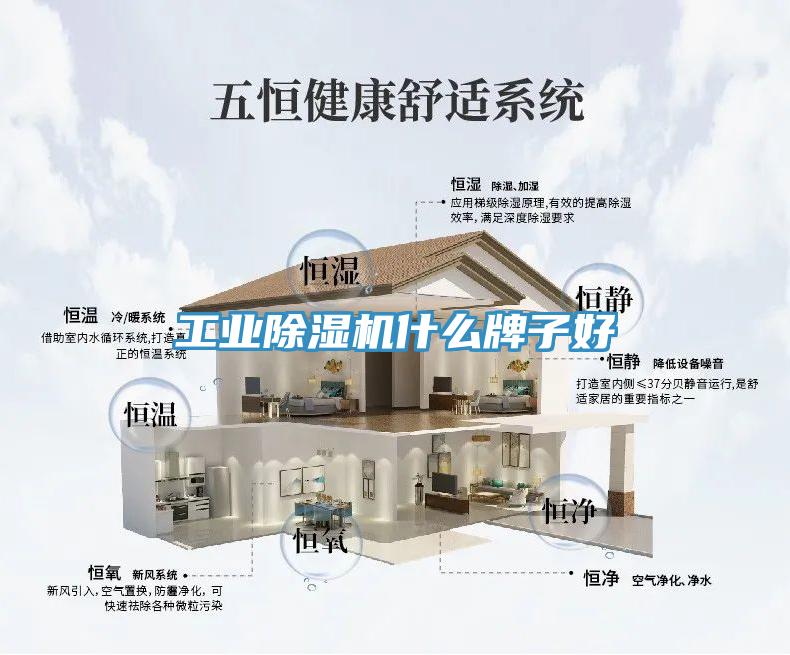 工业除湿机什么牌子好