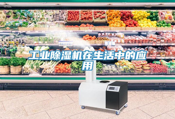 工业除湿机在生活中的应用