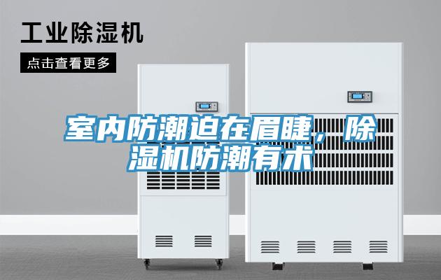 室内防潮迫在眉睫，除湿机防潮有术
