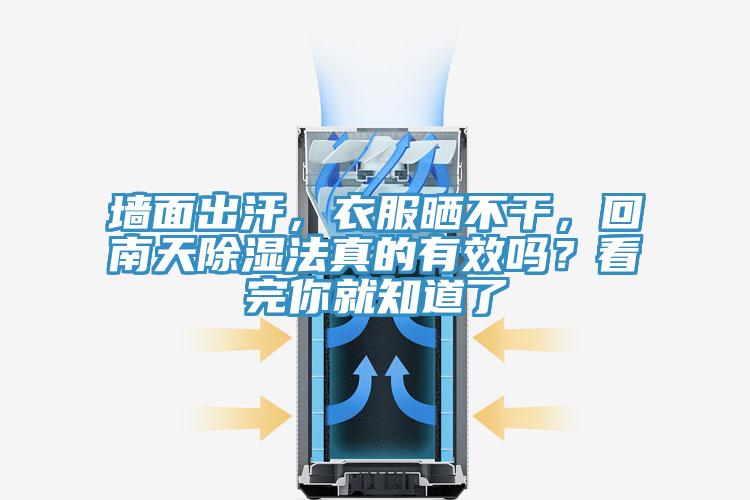 墙面出汗，衣服晒不干，回南天除湿法真的有效吗？看完你就知道了