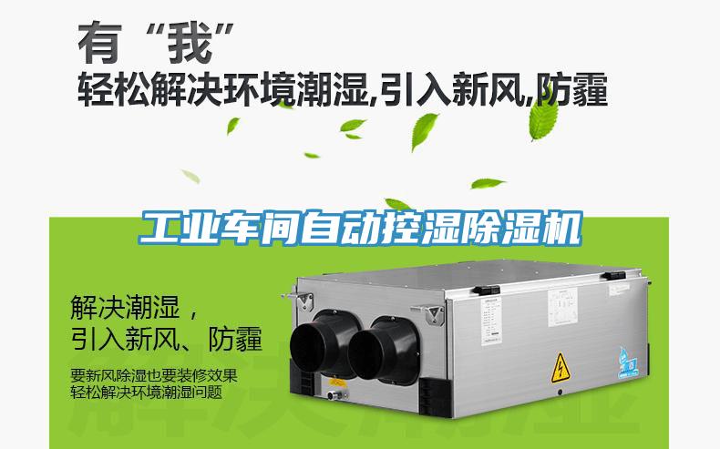 工业车间自动控湿除湿机