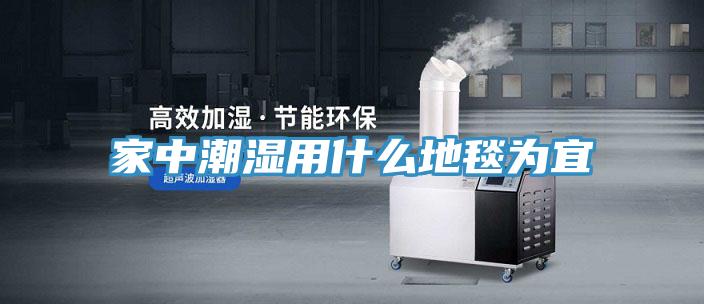 家中潮湿用什么地毯为宜