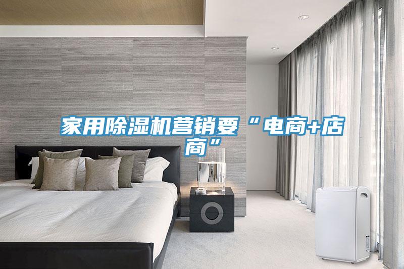 家用除湿机营销要“电商+店商”