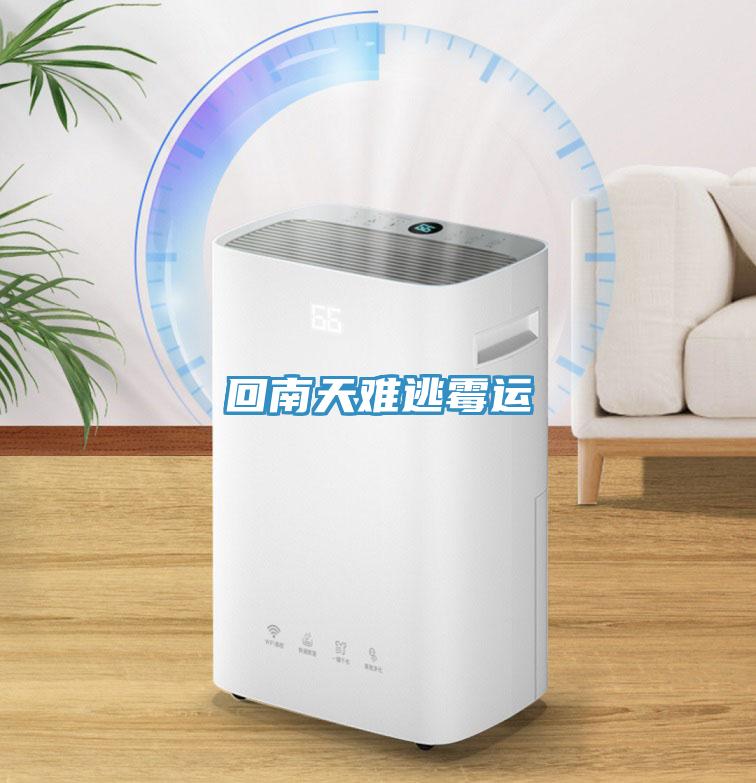 回南天难逃霉运