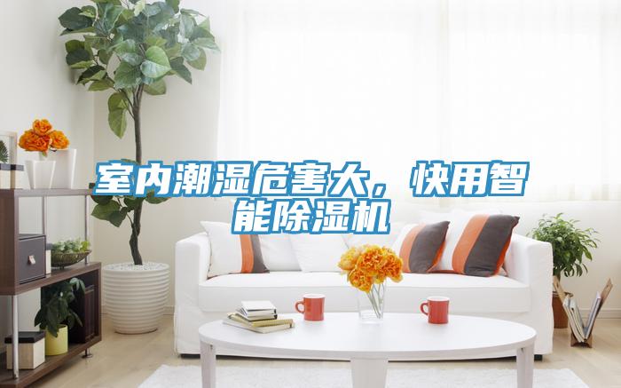 室内潮湿危害大，快用智能除湿机