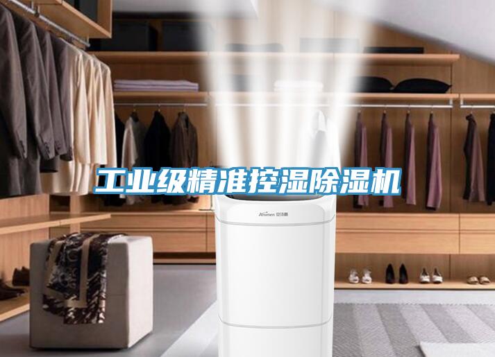 工业级精准控湿除湿机