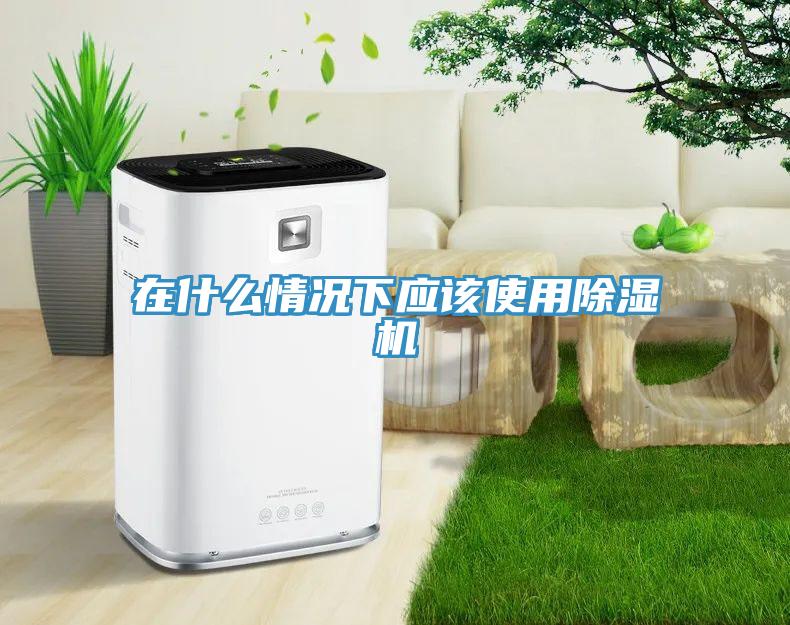 在什么情况下应该使用除湿机