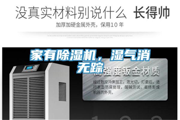 家有除湿机，湿气消无踪