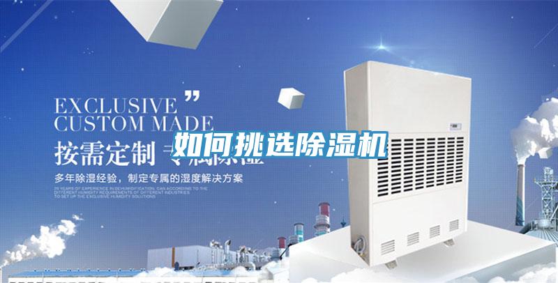 如何挑选除湿机