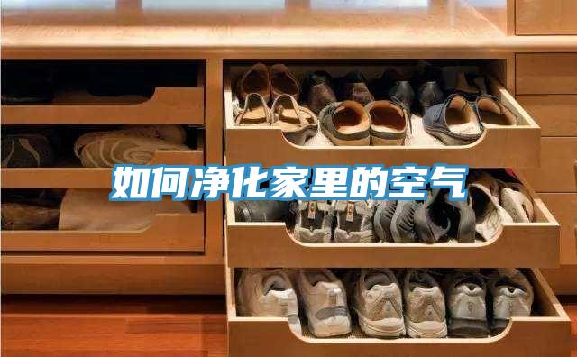 如何净化家里的空气