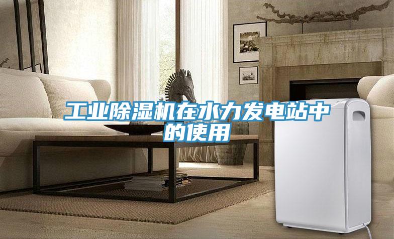 工业除湿机在水力发电站中的使用