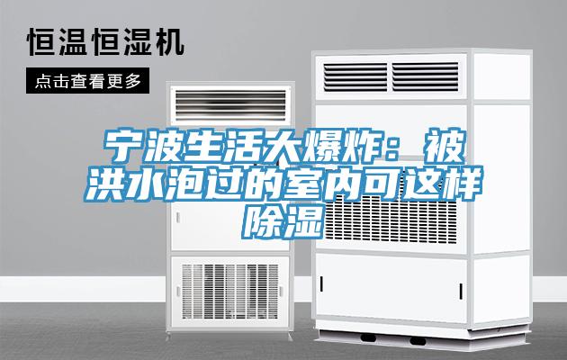 宁波生活大爆炸：被洪水泡过的室内可这样除湿