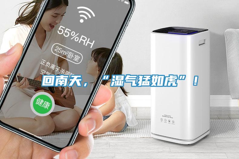 回南天，“湿气猛如虎”！